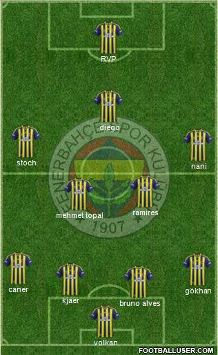 Fenerbahçe SK Formation 2015