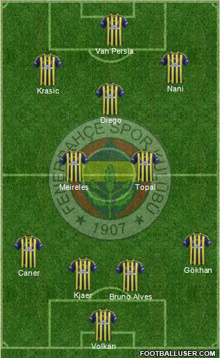 Fenerbahçe SK Formation 2015