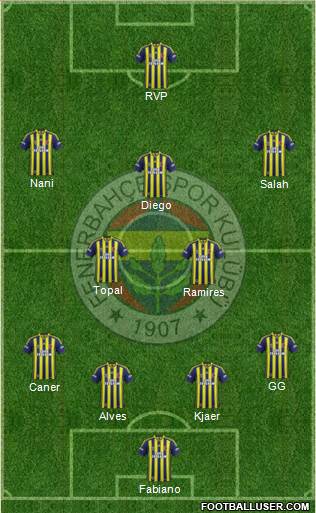 Fenerbahçe SK Formation 2015