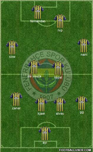 Fenerbahçe SK Formation 2015