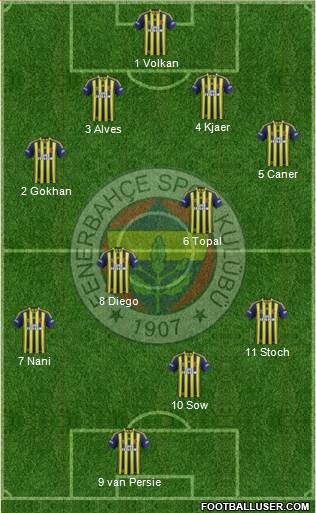 Fenerbahçe SK Formation 2015