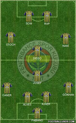 Fenerbahçe SK Formation 2015