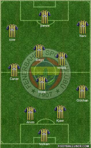 Fenerbahçe SK Formation 2015