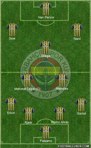 Fenerbahçe SK Formation 2015