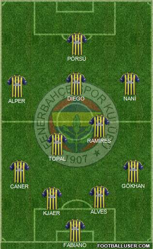Fenerbahçe SK Formation 2015