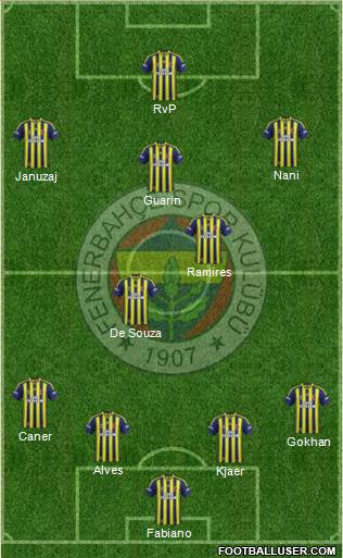 Fenerbahçe SK Formation 2015