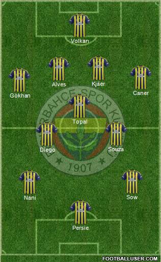Fenerbahçe SK Formation 2015