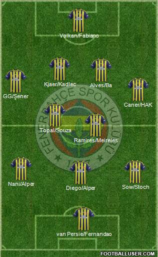 Fenerbahçe SK Formation 2015