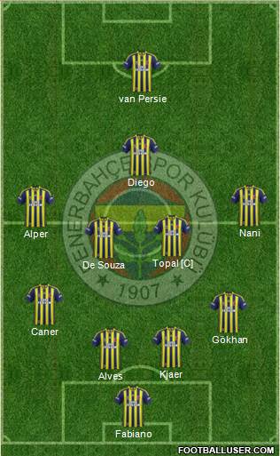 Fenerbahçe SK Formation 2015