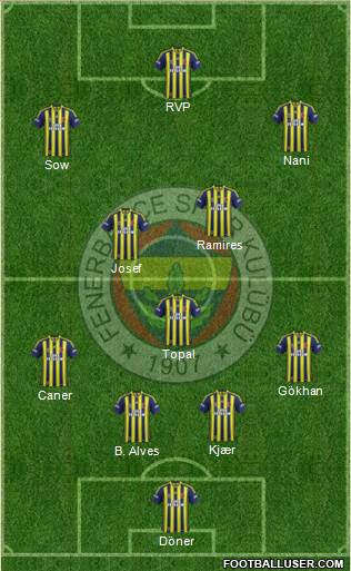 Fenerbahçe SK Formation 2015