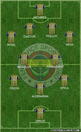 Fenerbahçe SK Formation 2015