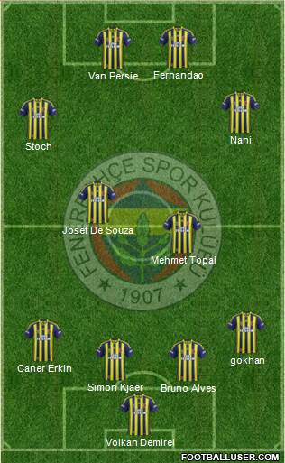 Fenerbahçe SK Formation 2015