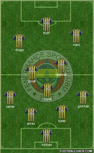 Fenerbahçe SK Formation 2015