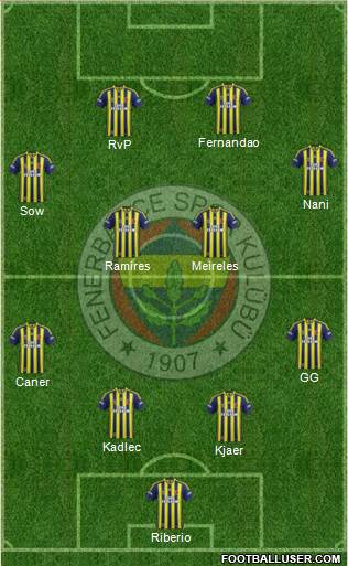 Fenerbahçe SK Formation 2015