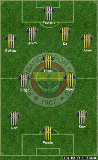 Fenerbahçe SK Formation 2015