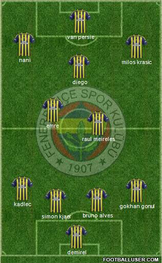 Fenerbahçe SK Formation 2015