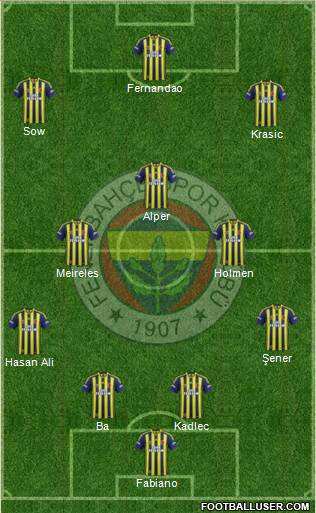 Fenerbahçe SK Formation 2015