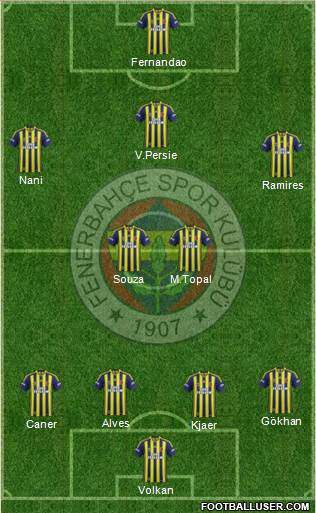Fenerbahçe SK Formation 2015