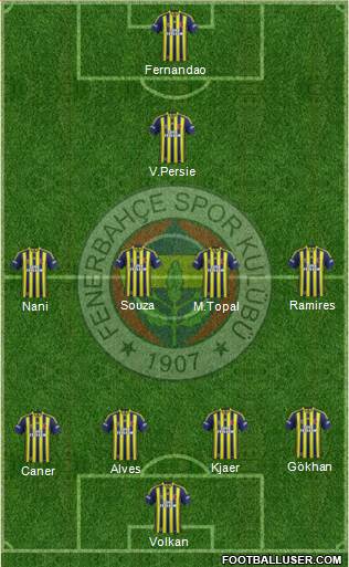 Fenerbahçe SK Formation 2015
