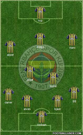 Fenerbahçe SK Formation 2015