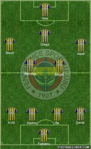 Fenerbahçe SK Formation 2015