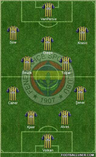 Fenerbahçe SK Formation 2015