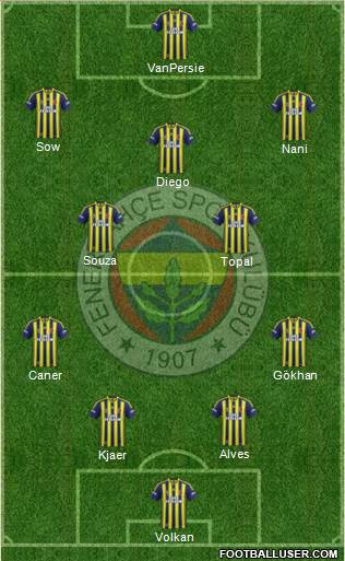 Fenerbahçe SK Formation 2015