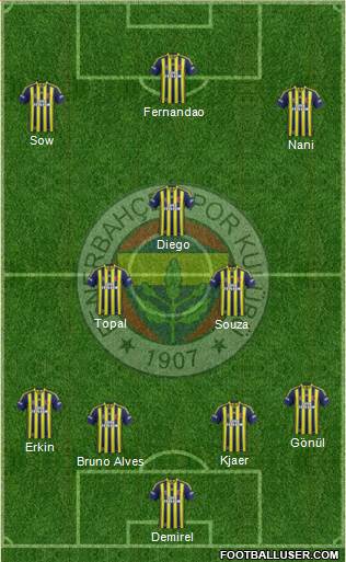 Fenerbahçe SK Formation 2015