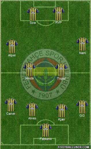 Fenerbahçe SK Formation 2015
