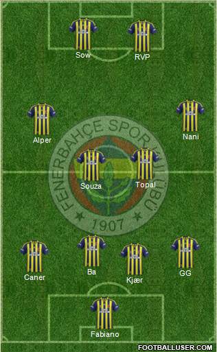 Fenerbahçe SK Formation 2015