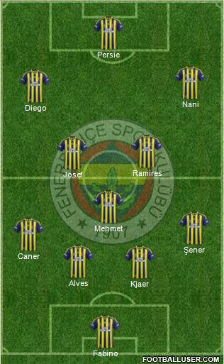 Fenerbahçe SK Formation 2015