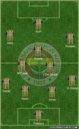 Fenerbahçe SK Formation 2015