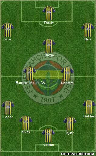 Fenerbahçe SK Formation 2015