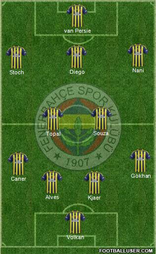 Fenerbahçe SK Formation 2015