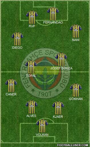 Fenerbahçe SK Formation 2015