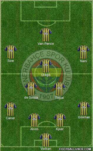 Fenerbahçe SK Formation 2015