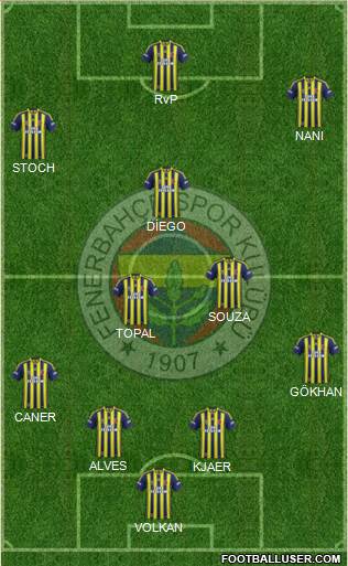 Fenerbahçe SK Formation 2015