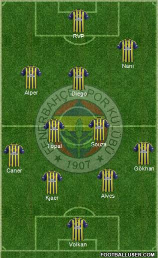 Fenerbahçe SK Formation 2015
