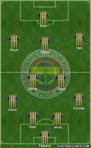Fenerbahçe SK Formation 2015