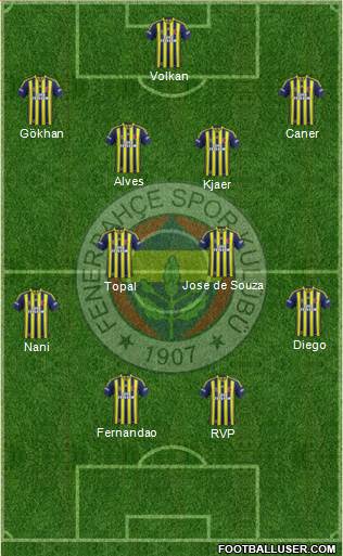Fenerbahçe SK Formation 2015