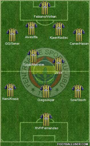 Fenerbahçe SK Formation 2015