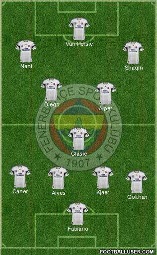Fenerbahçe SK Formation 2015