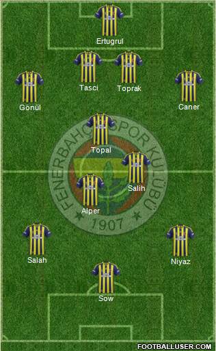 Fenerbahçe SK Formation 2015