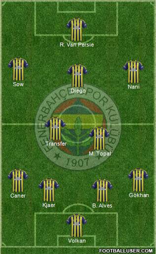 Fenerbahçe SK Formation 2015