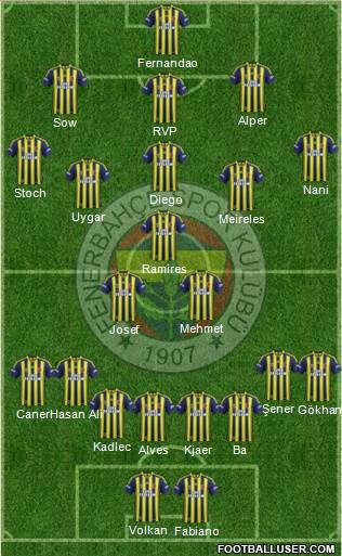 Fenerbahçe SK Formation 2015