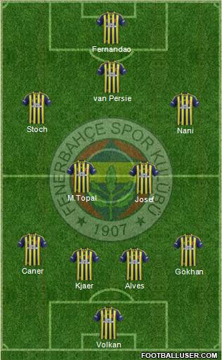 Fenerbahçe SK Formation 2015