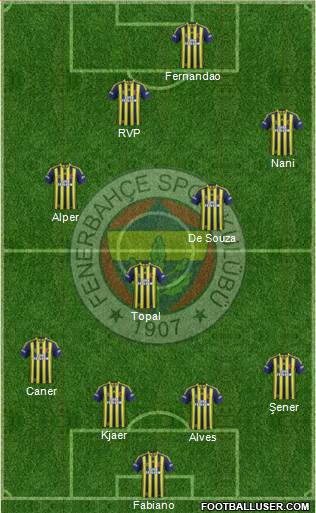 Fenerbahçe SK Formation 2015