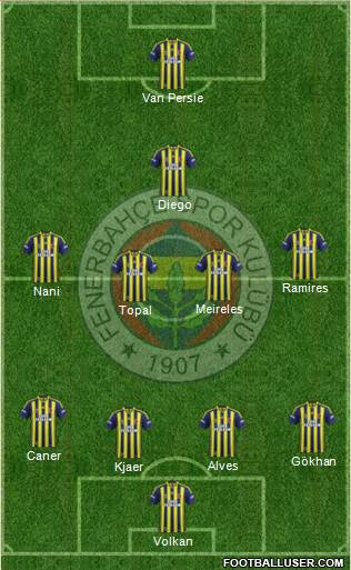 Fenerbahçe SK Formation 2015