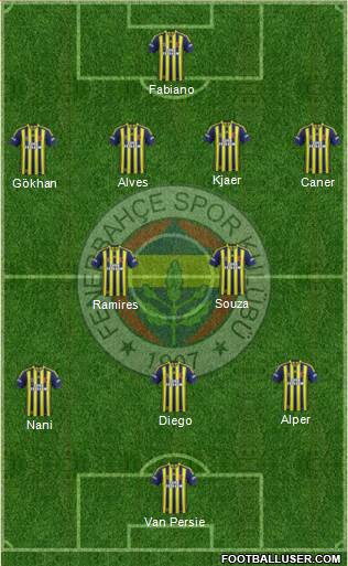 Fenerbahçe SK Formation 2015