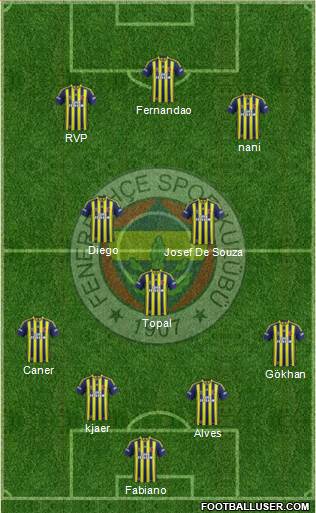 Fenerbahçe SK Formation 2015